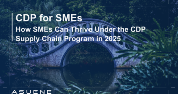 How SMEs Can Thrive Under the CDP Supply Chain Program in 2025